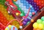 animacao-de-festa-hortolandia-1409518556