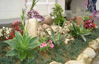 Divino Jardinagem - Foto 1