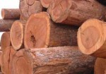 madeiras-e-madeireiras-hortolandia-1409418928