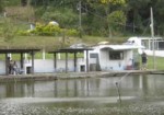 pesqueiros-hortolandia-1409496821