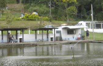 Pesqueiro do Paulão - Foto 1