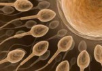 clinicas-de-fertilizacao-humana-hortolandia-1409574892