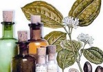 farmacias-de-homeopatia-hortolandia-1409576005