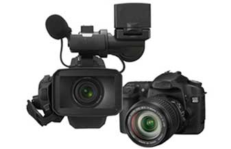 Foto Búfalo - Foto 1