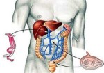 gastroenterologia-hortolandia-1409576824