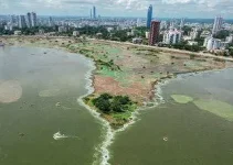 Severínia liderança ambiental paulista