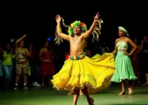 espetáculo de folclore