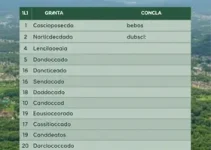 Programa Minha Casa, Minha Vida