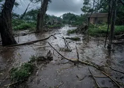 chuva provoca alagamentos e quedas de árvores