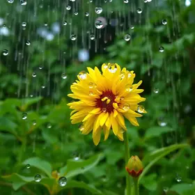 chances de chuva em Hortolândia