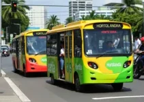 transporte público municipal sob demanda