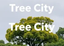 trânsito mais seguro de SP