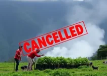 concurso GCM Hortolândia