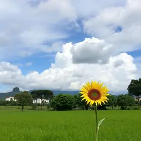 Hortolândia tempo agradável