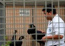 vagas de emprego em Hortolândia