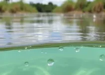 má qualidade da água em Hortolândia
