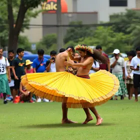 Capoeira de Hortolândia