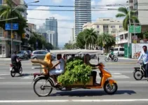 Mobilidade Urbana Hortolândia