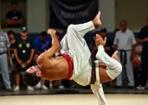 Capoeira de Hortolândia