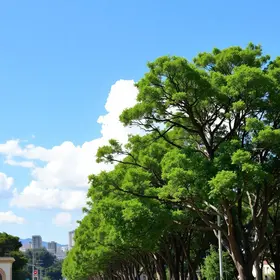 Hortolândia Cidade Árvore