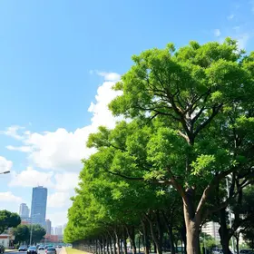 Cidade Árvore do Mundo