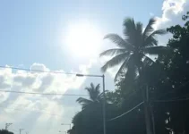onda de calor