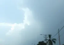 alerta amarelo