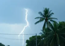 alerta laranja
