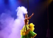 Circo Miudinho