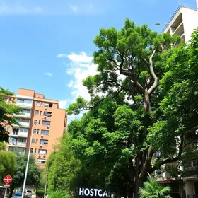 microfloresta urbana