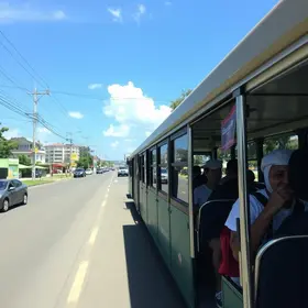 transporte público municipal gratuito